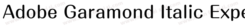Adobe Garamond Italic Expert字体转换